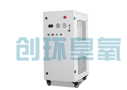 安顺石斑鱼养殖水质调控完整指南：臭氧发生器配置与操作步骤