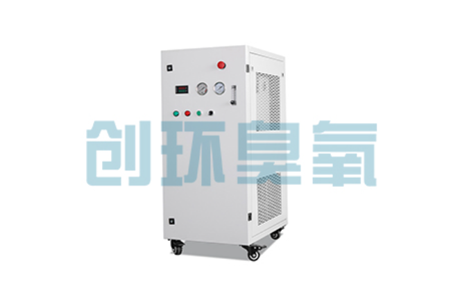安顺比传统换水更高效？臭氧发生器在石斑鱼养殖中的水质净化原理解析